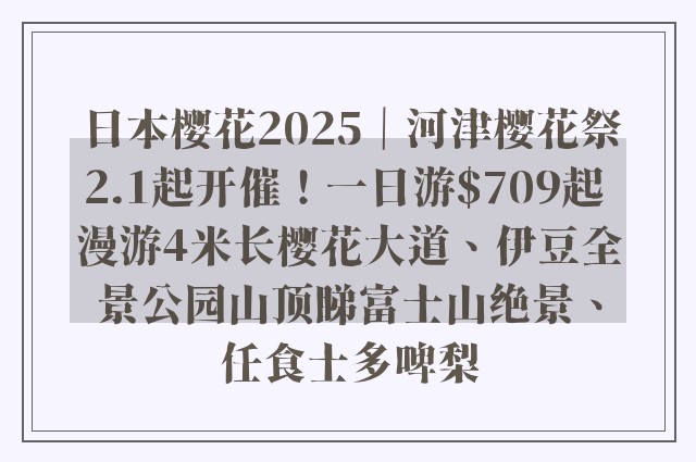 日本樱花2025｜河津樱花祭2.1起开催！一日游$709起 漫游4米长樱花大道、伊豆全景公园山顶睇富士山绝景、任食士多啤梨