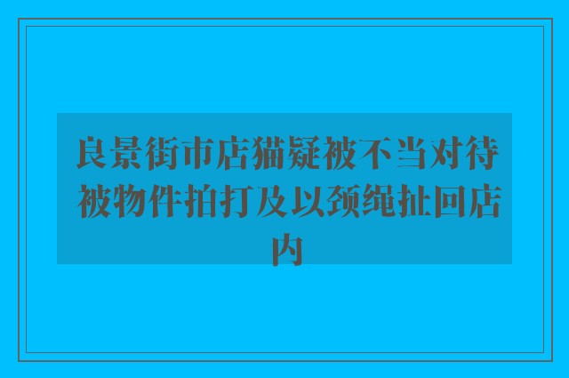 良景街市店猫疑被不当对待 被物件拍打及以颈绳扯回店内