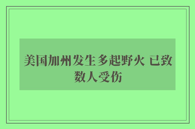 美国加州发生多起野火 已致数人受伤