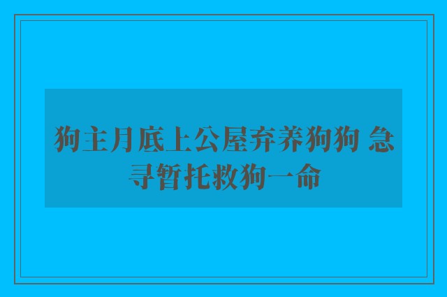 狗主月底上公屋弃养狗狗 急寻暂托救狗一命