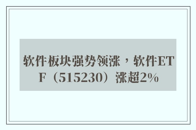 软件板块强势领涨，软件ETF（515230）涨超2%