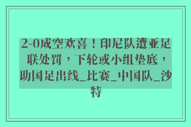 2-0成空欢喜！印尼队遭亚足联处罚，下轮或小组垫底，助国足出线_比赛_中国队_沙特