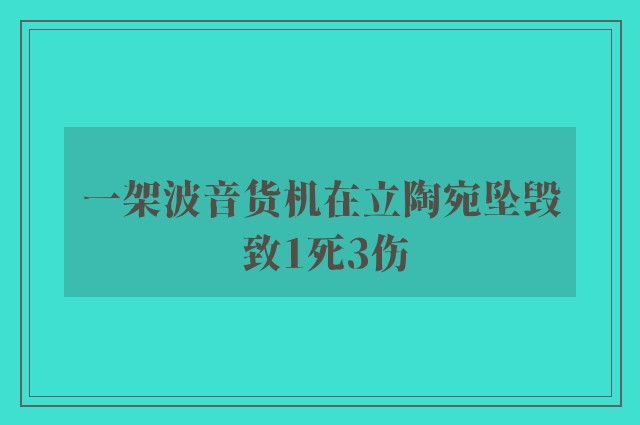 一架波音货机在立陶宛坠毁 致1死3伤