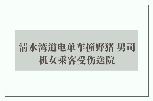 清水湾道电单车撞野猪 男司机女乘客受伤送院