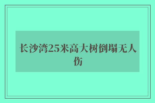 长沙湾25米高大树倒塌无人伤