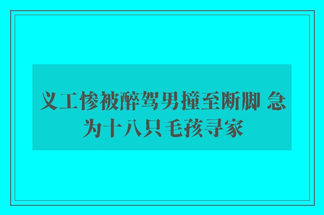 义工惨被醉驾男撞至断脚 急为十八只毛孩寻家