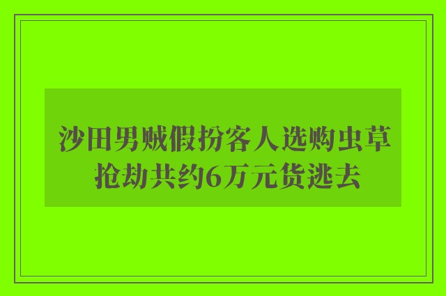 沙田男贼假扮客人选购虫草 抢劫共约6万元货逃去