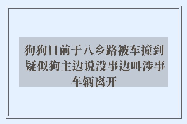 狗狗日前于八乡路被车撞到 疑似狗主边说没事边叫涉事车辆离开