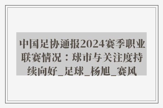 中国足协通报2024赛季职业联赛情况：球市与关注度持续向好_足球_杨旭_赛风