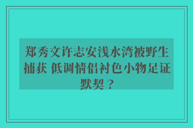 郑秀文许志安浅水湾被野生捕获 低调情侣衬色小物足证默契？