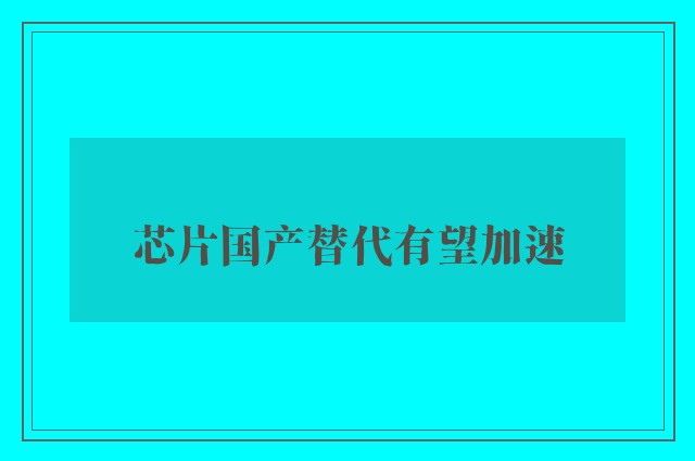 芯片国产替代有望加速