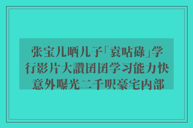 张宝儿晒儿子「袁咕碌」学行影片大讚囝囝学习能力快 意外曝光二千呎豪宅内部