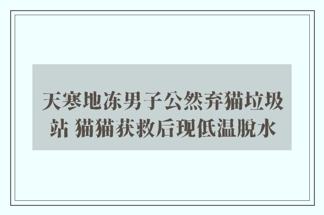 天寒地冻男子公然弃猫垃圾站 猫猫获救后现低温脱水