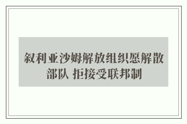 叙利亚沙姆解放组织愿解散部队 拒接受联邦制