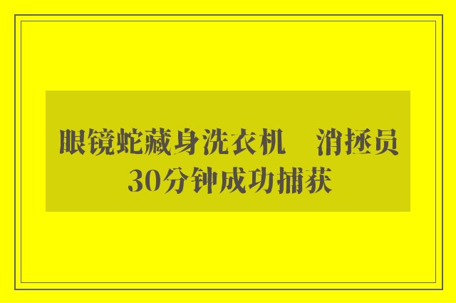 眼镜蛇藏身洗衣机　消拯员30分钟成功捕获