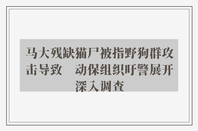 马大残缺猫尸被指野狗群攻击导致　动保组织吁警展开深入调查