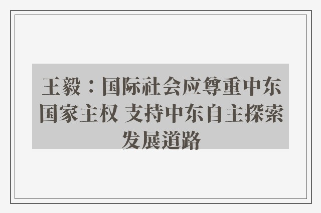 王毅：国际社会应尊重中东国家主权 支持中东自主探索发展道路