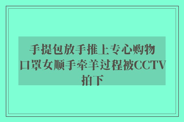 手提包放手推上专心购物　口罩女顺手牵羊过程被CCTV拍下