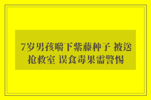 7岁男孩嚼下紫藤种子 被送抢救室 误食毒果需警惕