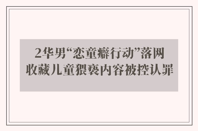 2华男“恋童癖行动”落网　收藏儿童猥亵内容被控认罪