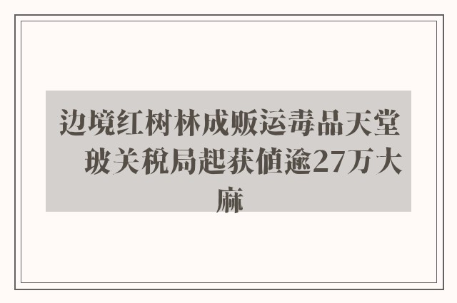 边境红树林成贩运毒品天堂　玻关税局起获值逾27万大麻