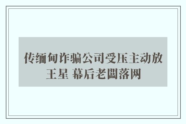 传缅甸诈骗公司受压主动放王星 幕后老闆落网