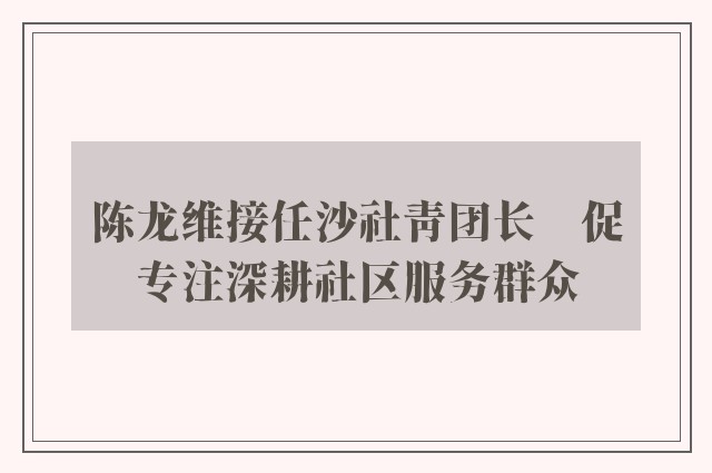 陈龙维接任沙社青团长　促专注深耕社区服务群众