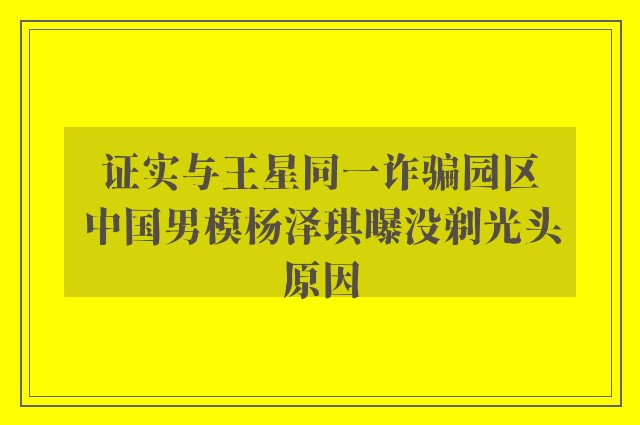 证实与王星同一诈骗园区　中国男模杨泽琪曝没剃光头原因