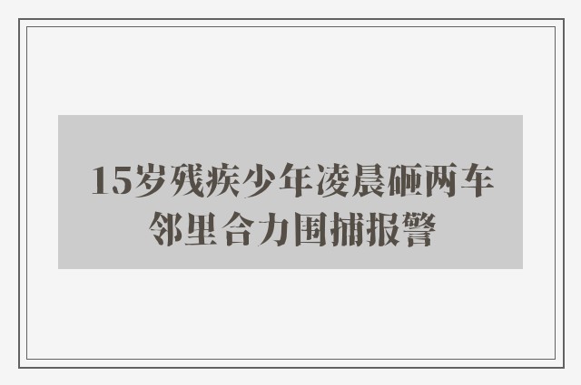 15岁残疾少年凌晨砸两车　邻里合力围捕报警