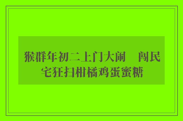 猴群年初二上门大闹　闯民宅狂扫柑橘鸡蛋蜜糖