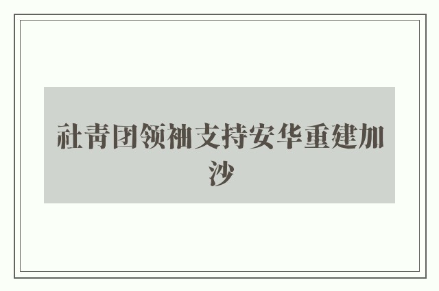 社青团领袖支持安华重建加沙