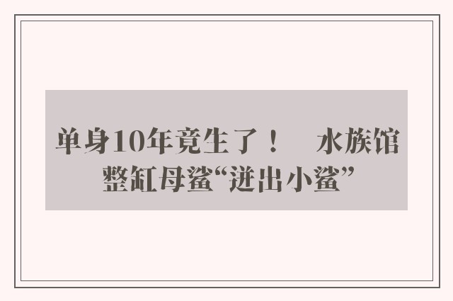 单身10年竟生了！　水族馆整缸母鲨“迸出小鲨”