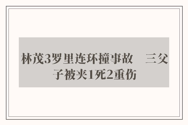 林茂3罗里连环撞事故　三父子被夹1死2重伤