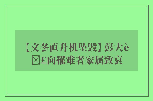 【文冬直升机坠毁】 彭大臣向罹难者家属致哀