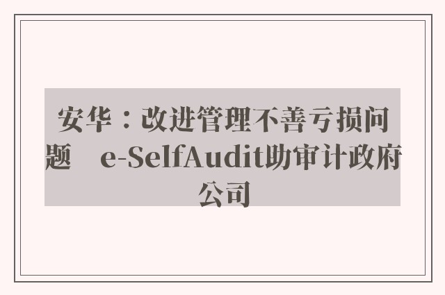 安华：改进管理不善亏损问题　e-SelfAudit助审计政府公司