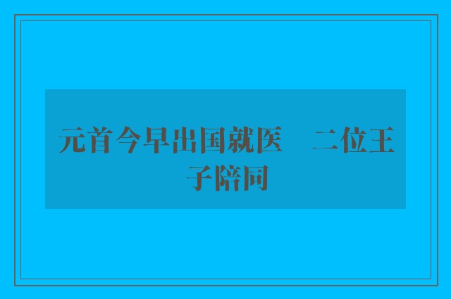 元首今早出国就医　二位王子陪同