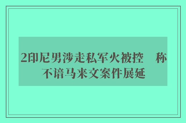 2印尼男涉走私军火被控　称不谙马来文案件展延