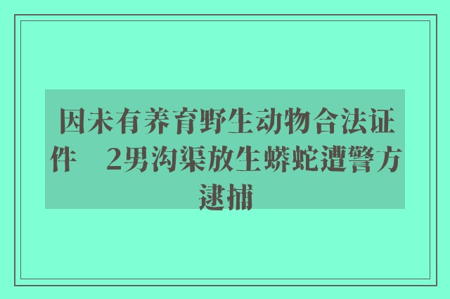 因未有养育野生动物合法证件　2男沟渠放生蟒蛇遭警方逮捕