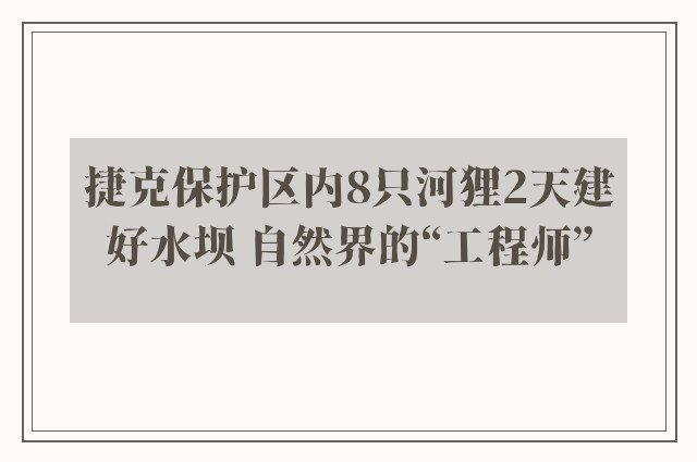 捷克保护区内8只河狸2天建好水坝 自然界的“工程师”