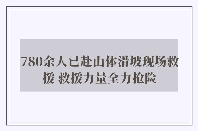 780余人已赴山体滑坡现场救援 救援力量全力抢险