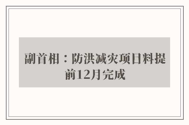 副首相：防洪减灾项目料提前12月完成