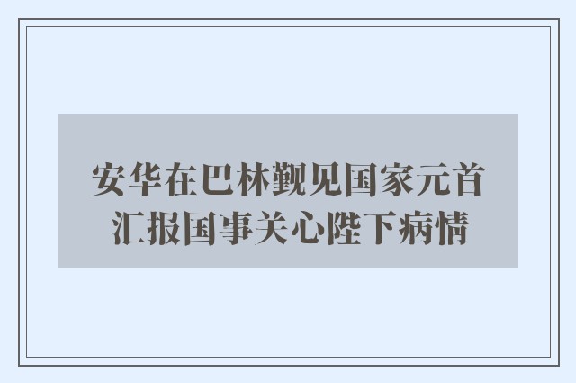 安华在巴林觐见国家元首　汇报国事关心陛下病情