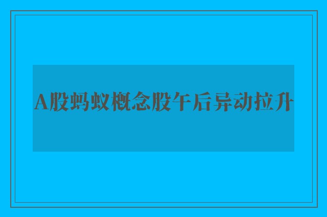 A股蚂蚁概念股午后异动拉升