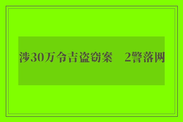 涉30万令吉盗窃案　2警落网