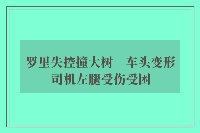 罗里失控撞大树　车头变形司机左腿受伤受困