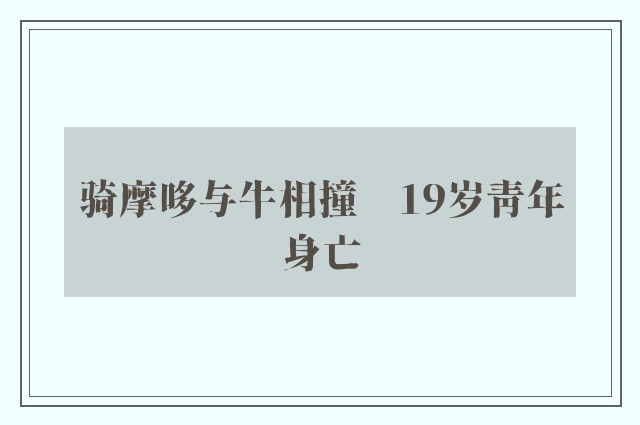 骑摩哆与牛相撞　19岁青年身亡