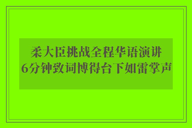 柔大臣挑战全程华语演讲　6分钟致词博得台下如雷掌声