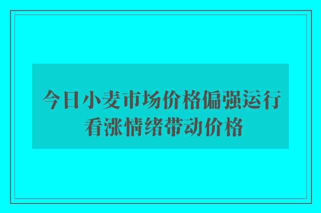 今日小麦市场价格偏强运行 看涨情绪带动价格