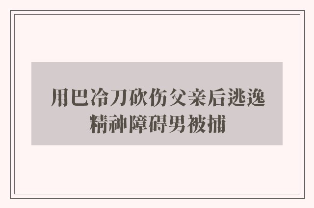 用巴冷刀砍伤父亲后逃逸　精神障碍男被捕