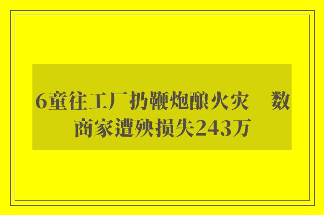 6童往工厂扔鞭炮酿火灾　数商家遭殃损失243万